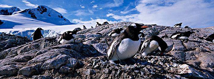 《嗜血印》婚纱DLC追加新配色 未来将添加rogue模式